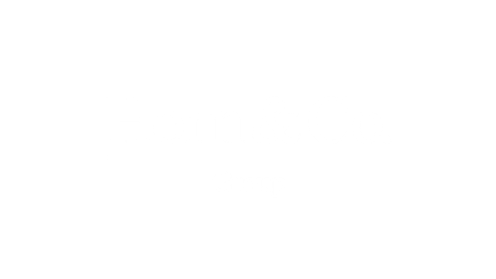 Weißer Text mit der Aufschrift Horn & Co. über einer horizontalen Linie und dem Wort Group unter der Linie, alles vor einem hellgrauen Hintergrund.