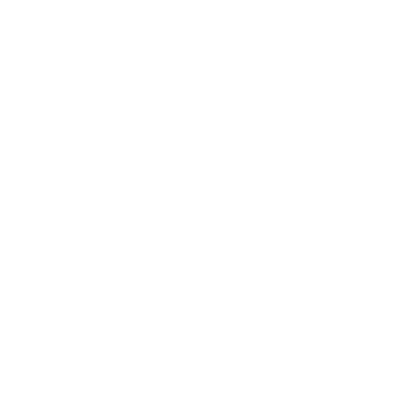 Das Bild zeigt einen hellgrauen Hintergrund, auf dem das Wort Permodo in großen, weißen Buchstaben zentriert ist. Links vom Text befindet sich ein einfaches geometrisches Logo, das aus zwei Dreiecken besteht.